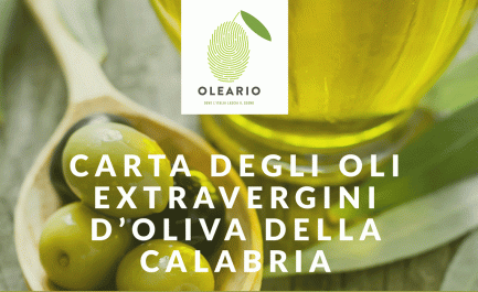 Oleario: presentata in Calabria la Carta degli Oli extravergini di Oliva
