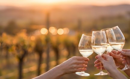 Oleario alla III Edizione del Vinitaly Sibari