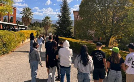 Settimana della Scienza: grande partecipazione alle iniziative del CREA dedicate alla filiera olivicolo-olearia